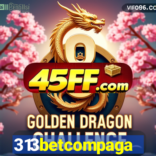 313betcompaga