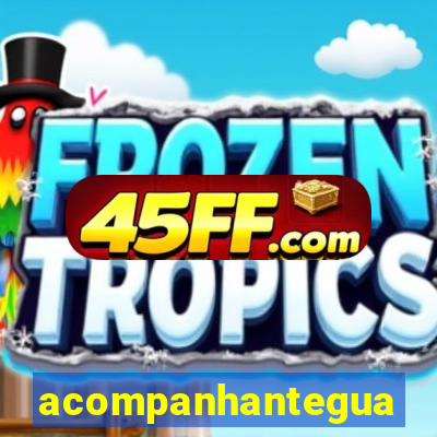 acompanhanteguanambi