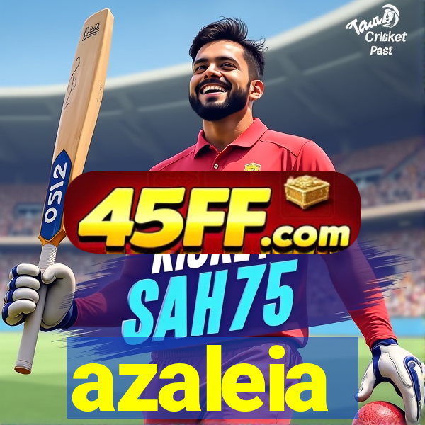azaleia-br.com