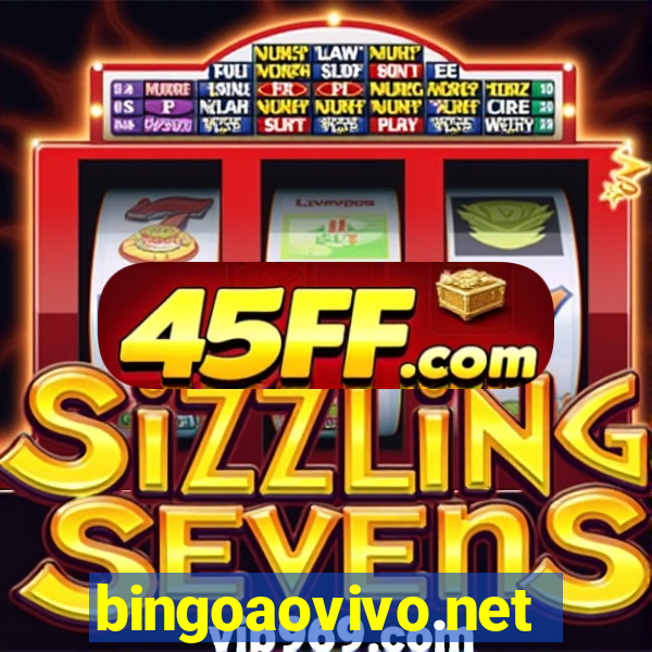 bingoaovivo.net