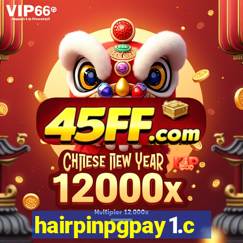 hairpinpgpay1.com