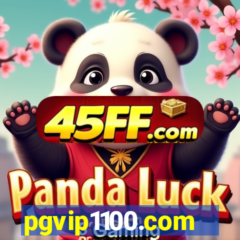 pgvip1100.com