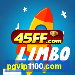 pgvip1100.com