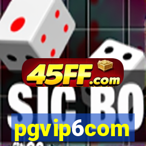 pgvip6com