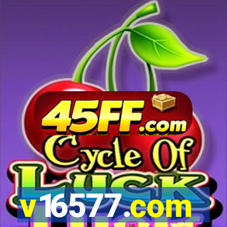 v16577.com