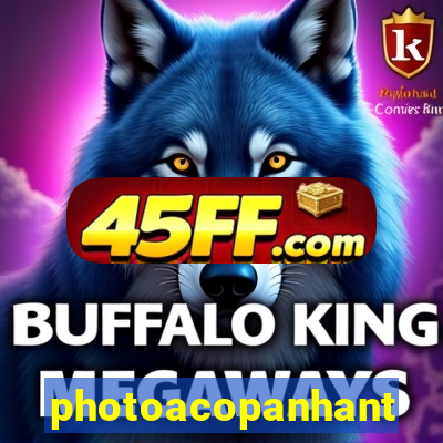 photoacopanhante