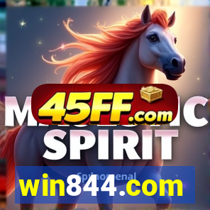 win844.com